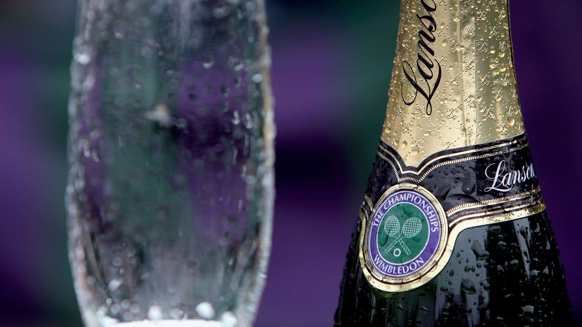 地提高球員 地提高球員